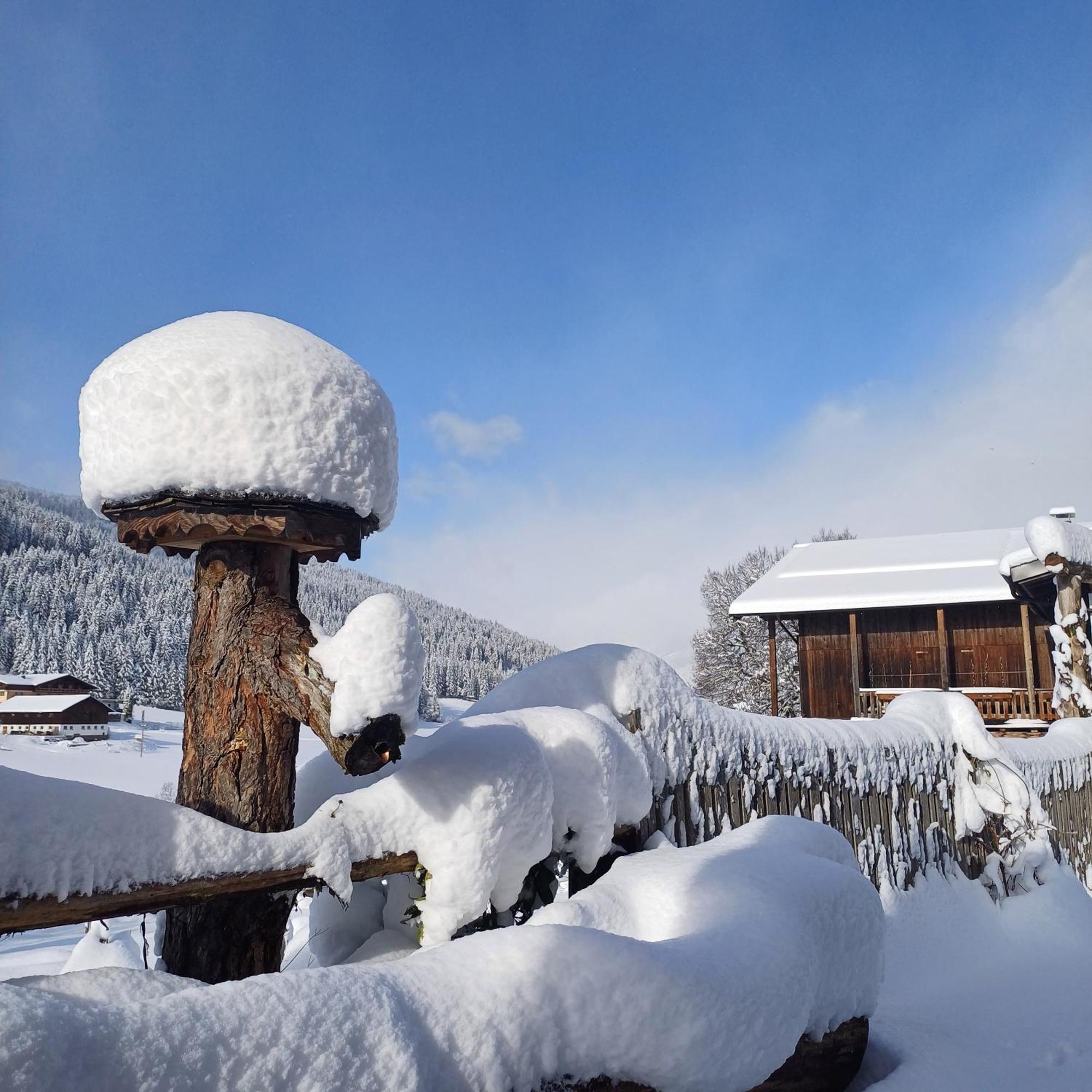 Tiny House Am Steinergut Hotel Radstadt Bagian luar foto